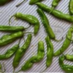 Roasted Shishito Peppers