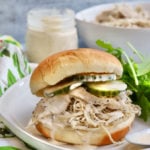Pulled Chicken