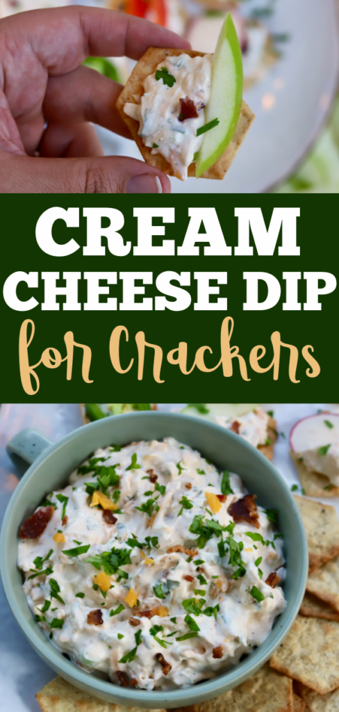 Bacon, Scallion and Cream Cheese Dip For Crackers - Slice of Jess