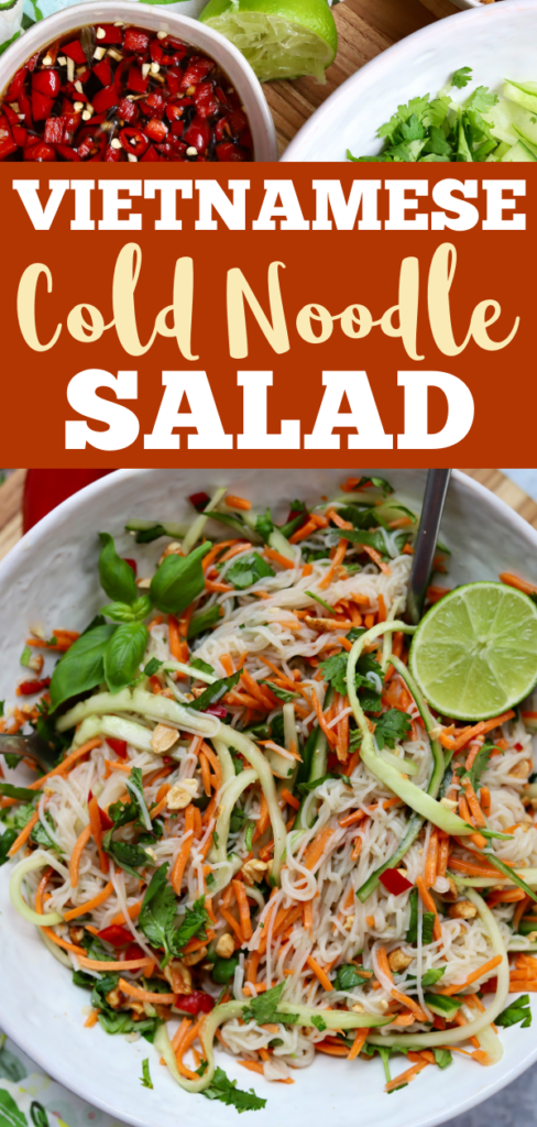 Vietnamese Cold Noodle Salad with Vinaigrette - Slice of Jess