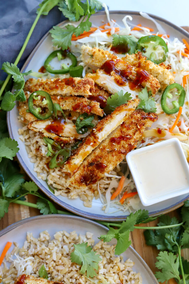 Crispy Air Fryer Katsu Chicken Recipe - Slice of Jess